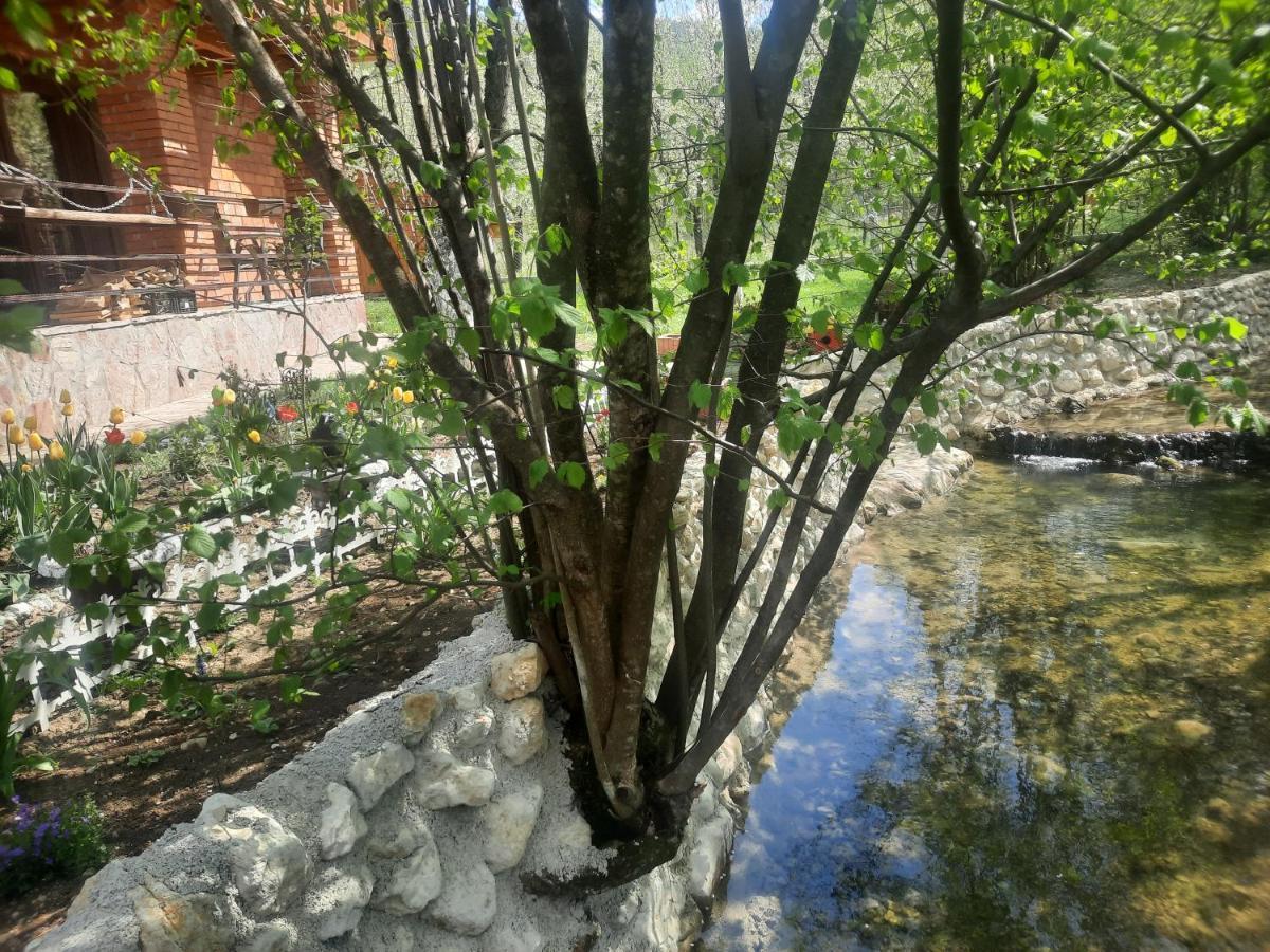 Live Nature Bihac Ngoại thất bức ảnh