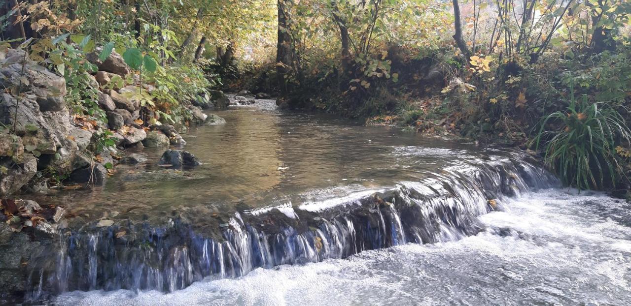 Live Nature Bihac Ngoại thất bức ảnh